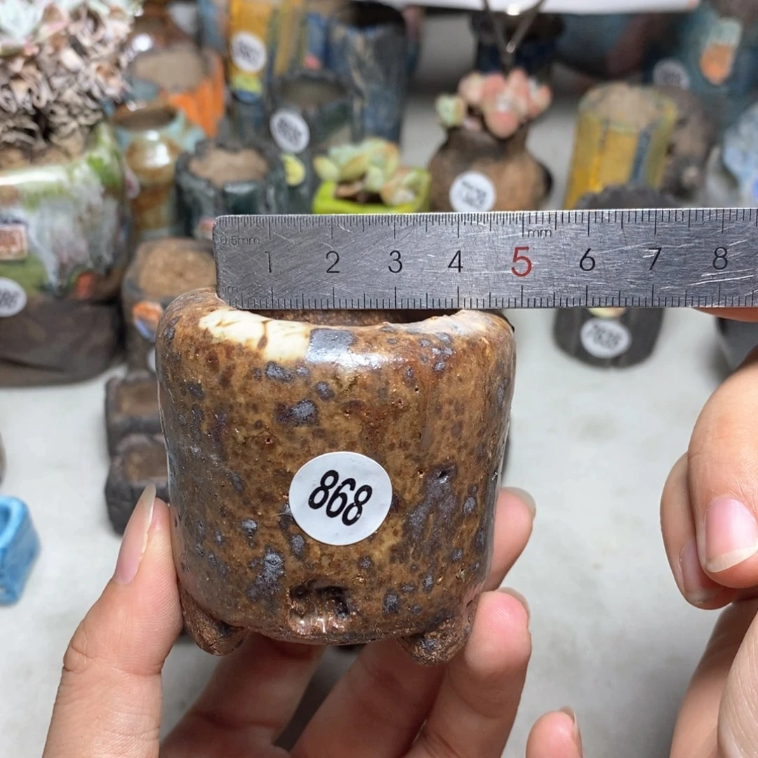 拍3送一9.9的拍5送同款