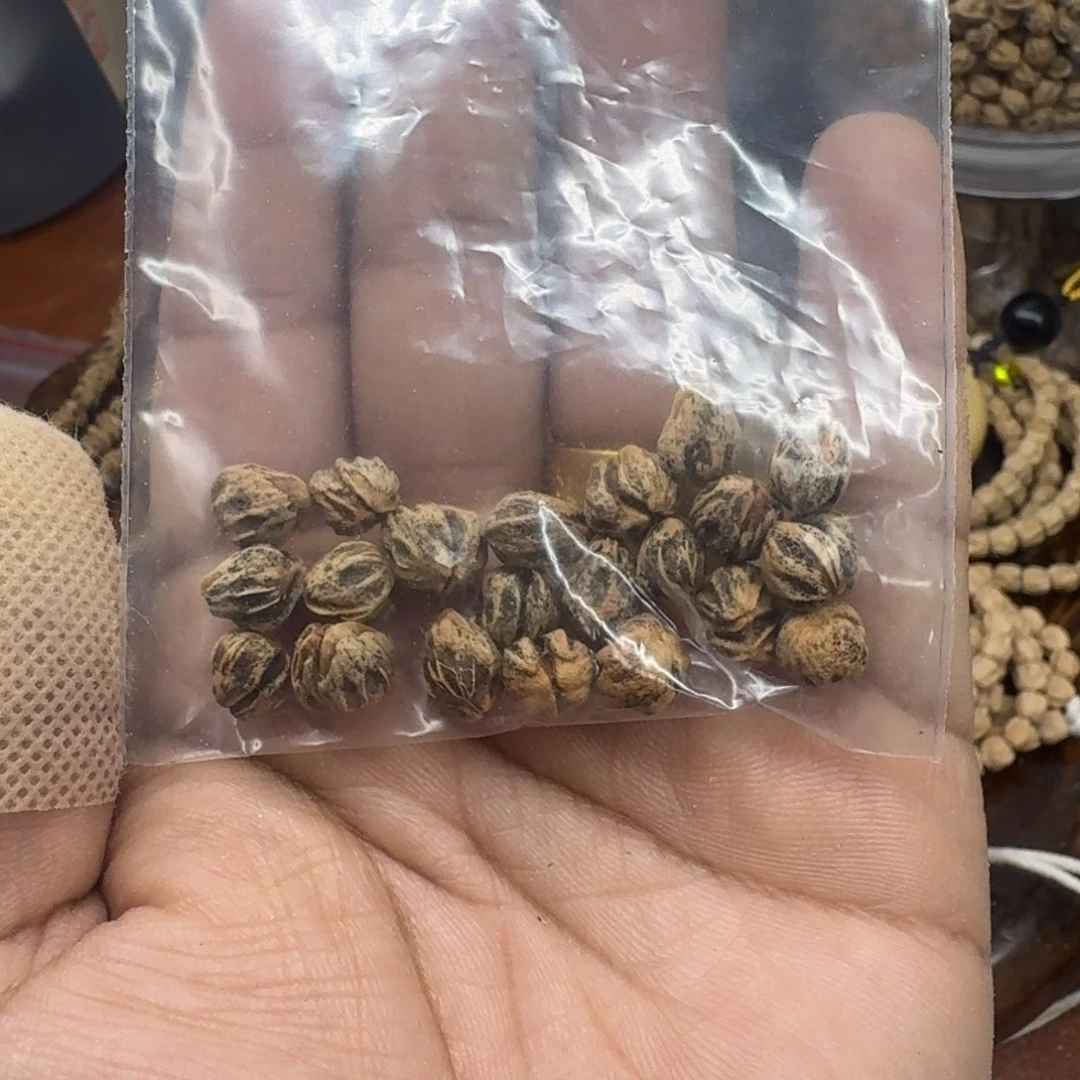 柏香籽/百香籽吊坠?*眠