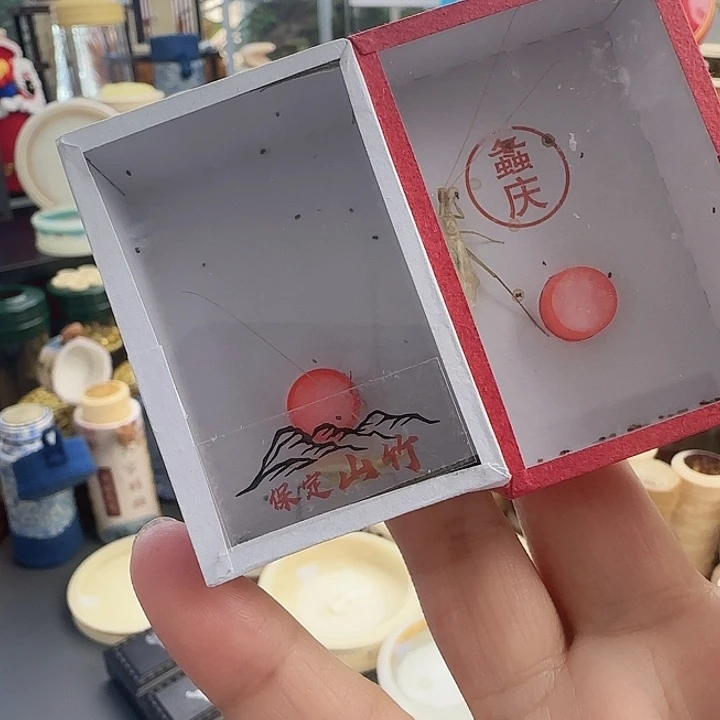 山竹➕柬竹66666666