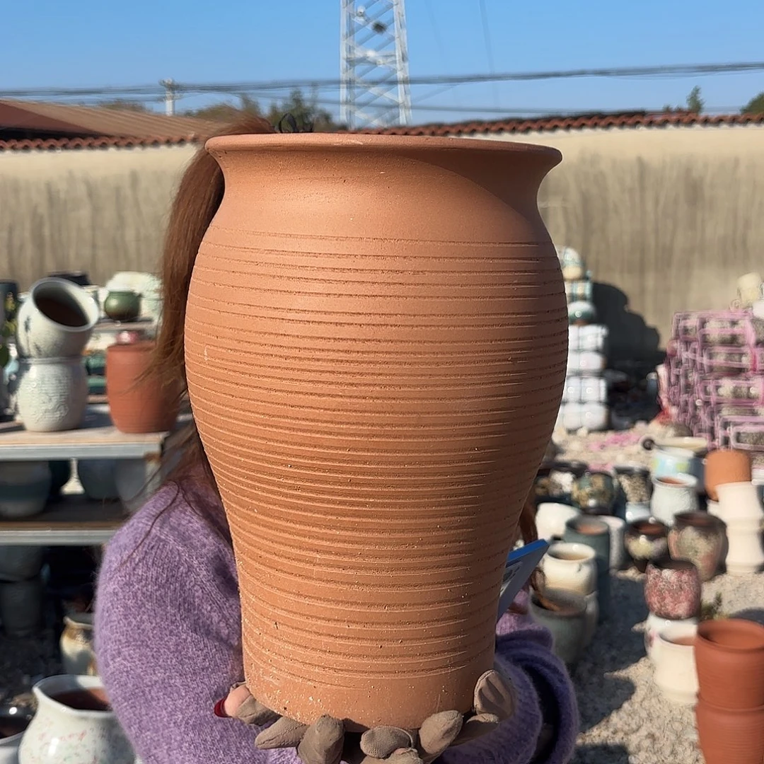 口径20高度31一个红陶鱼尾