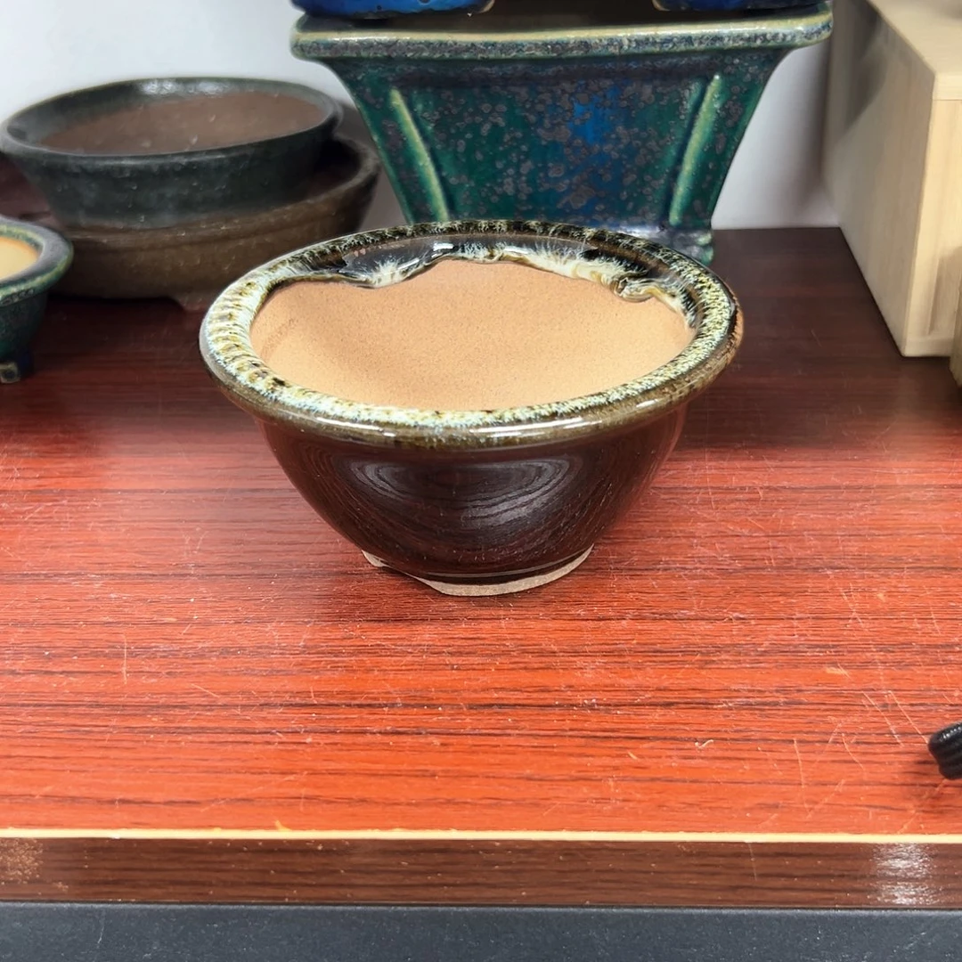 西***瓜对你的喜欢就如同这日子只增不减597