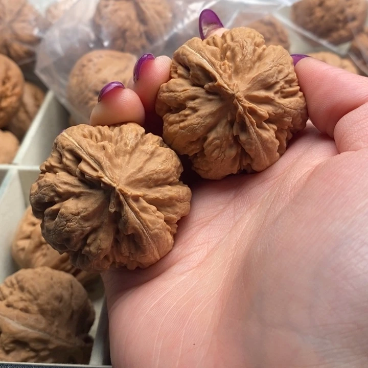 利***术手串文玩核桃霸王龙