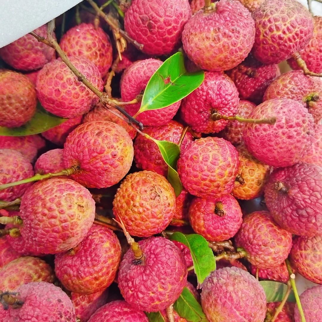 玉荷包荔枝500g（皮发黑但不影响口感介意勿拍）云南省