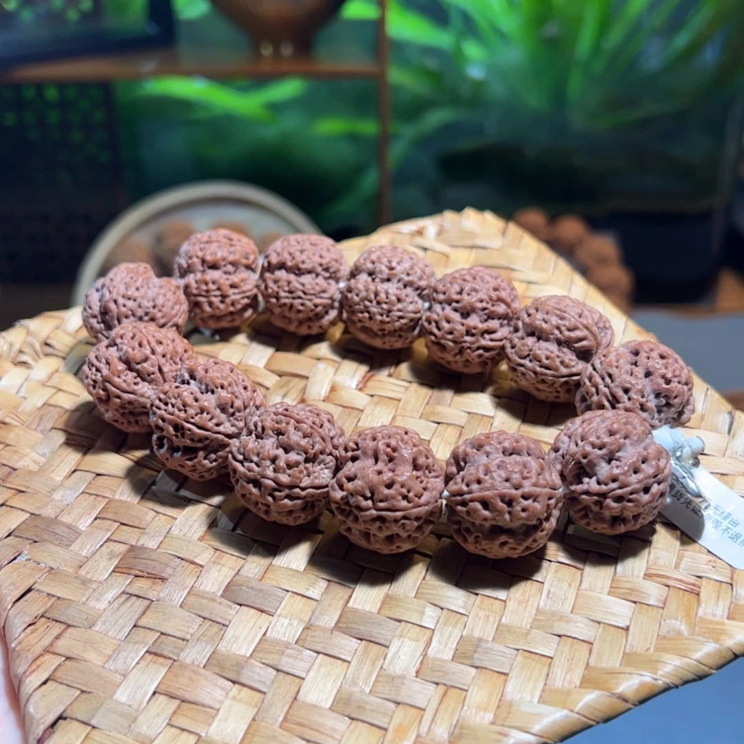 吊坠金刚菩提梁树王梅花22mm大金刚菩提
