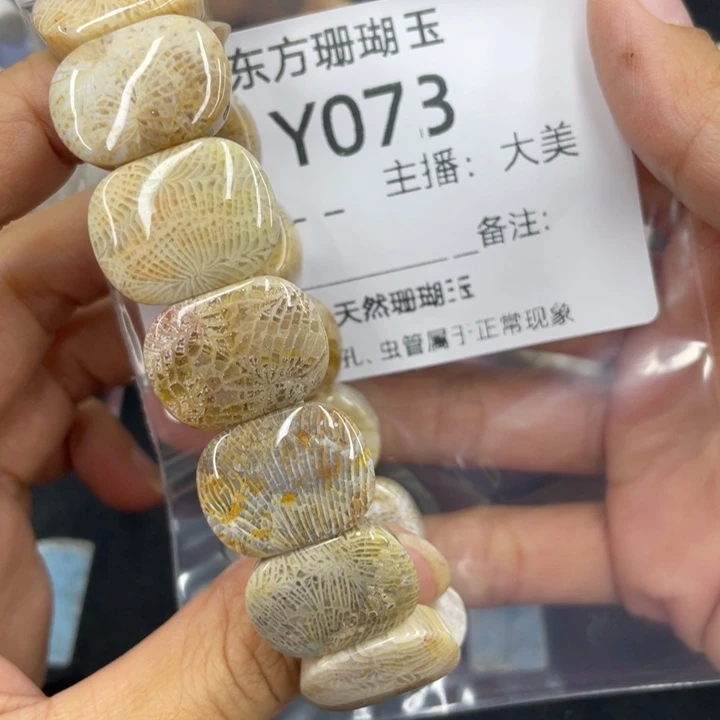 ****意硅化珊瑚（珊瑚玉）合金颈饰