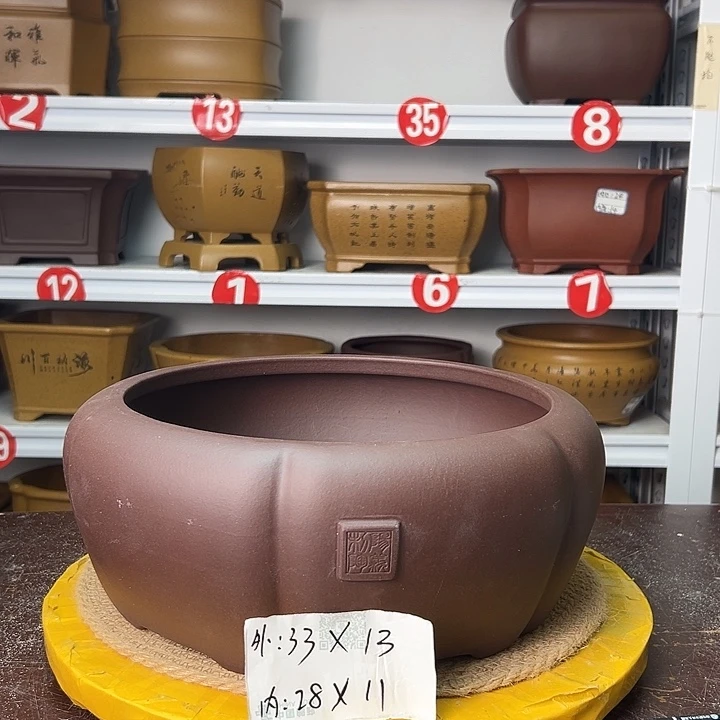 花盆紫砂你在一起