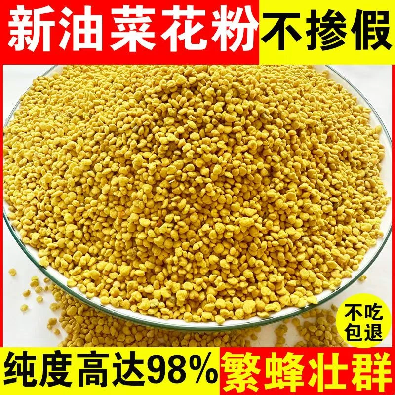 新油菜花粉颗粒饱满喂蜂群繁蜂壮群花粉浆原材料