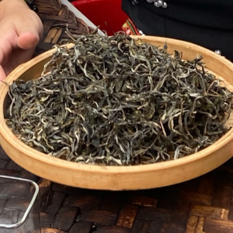 *2025年【小户赛1号.古树.春】【晒青茶】【生散茶】-7月24日【12】