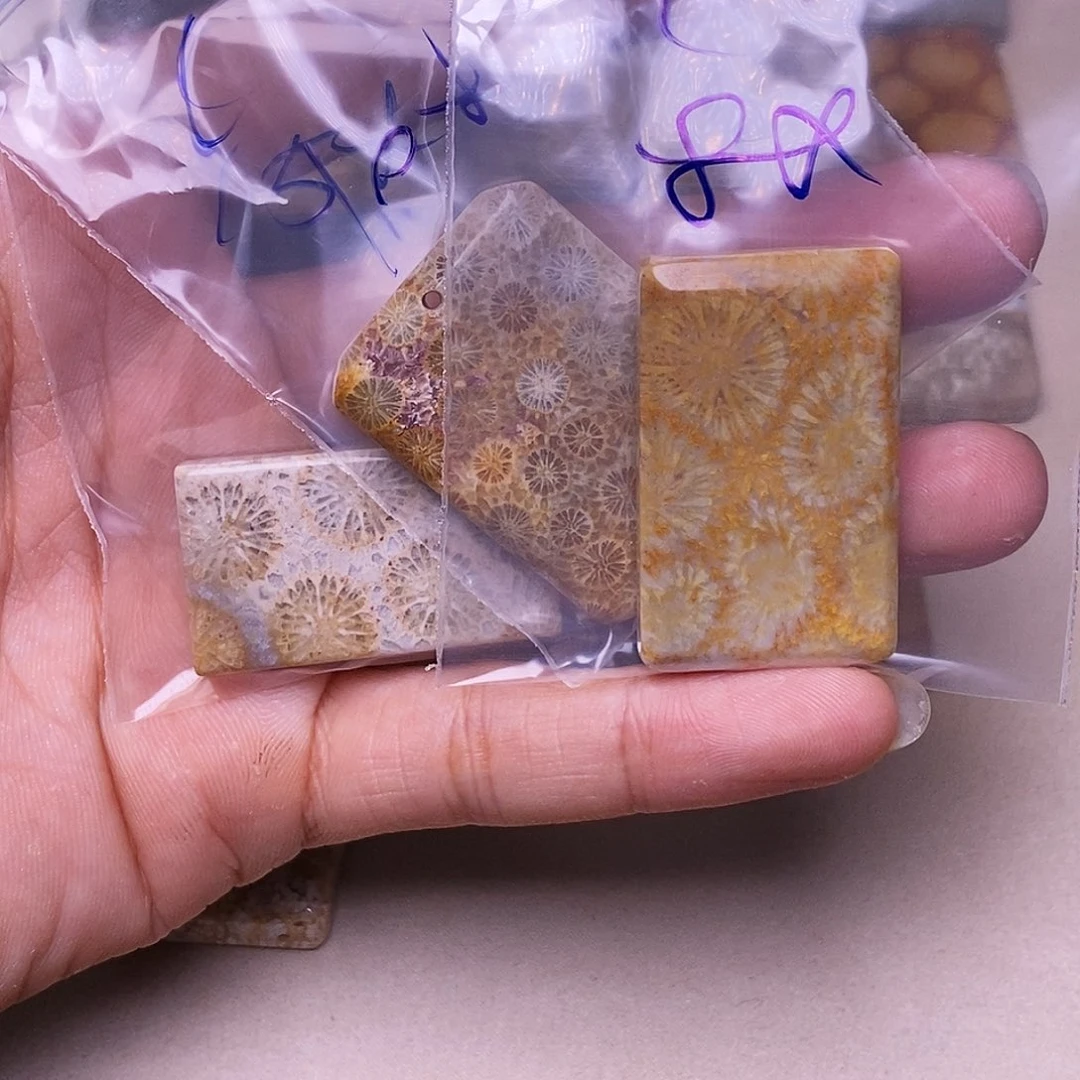 c***兔硅化玉合金珊瑚玉