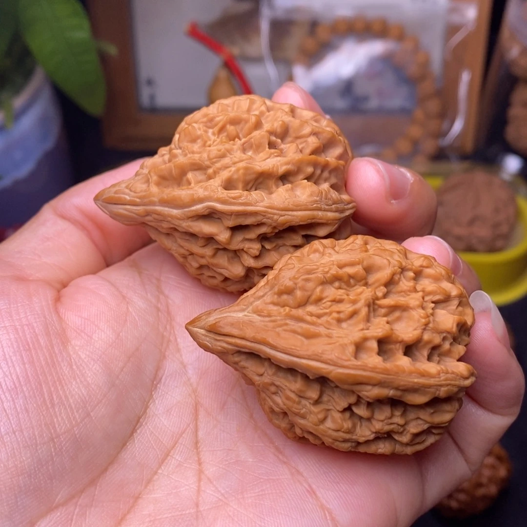 文玩核桃把件37鸭嘴大沽石