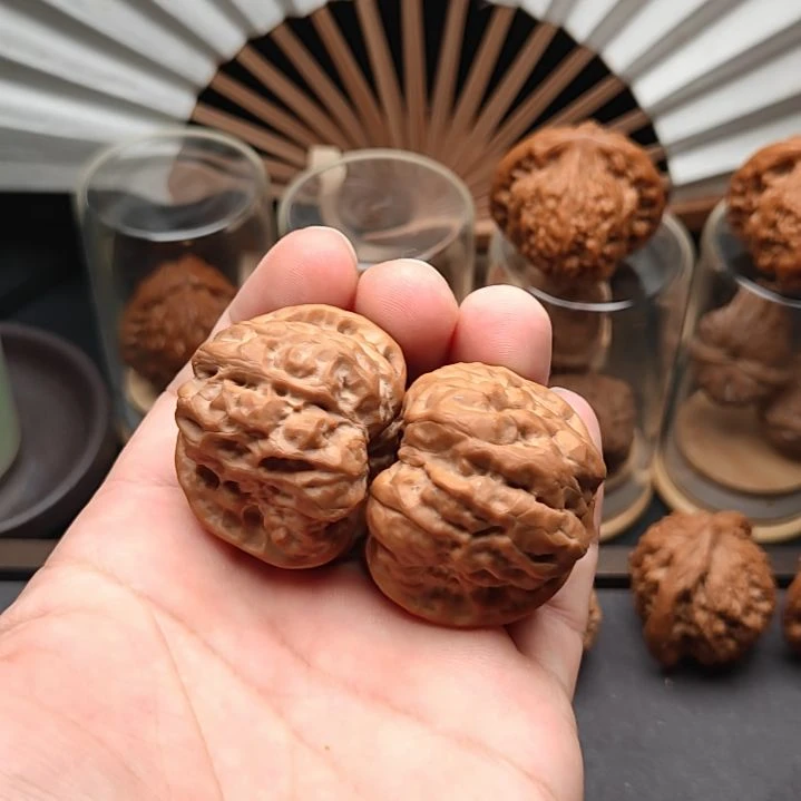 哈莫头尺寸42肚45大克重