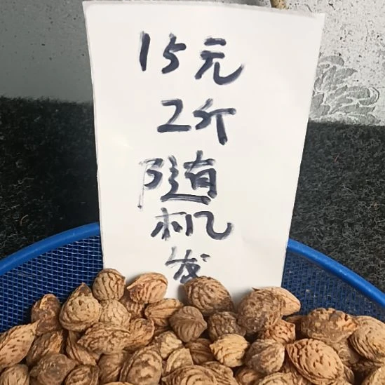 桃核吊坠野生山桃核小核15元2斤，不挑不捡随机发