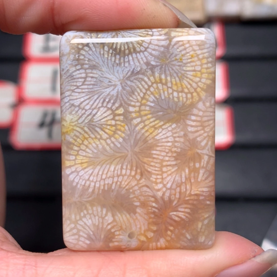 【闪购商品】硅化玉颈饰合金用****1