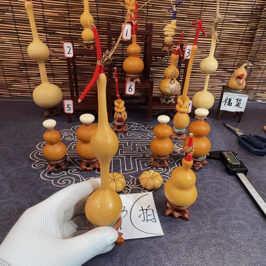 磊*g我们的生活也是如此的丰富