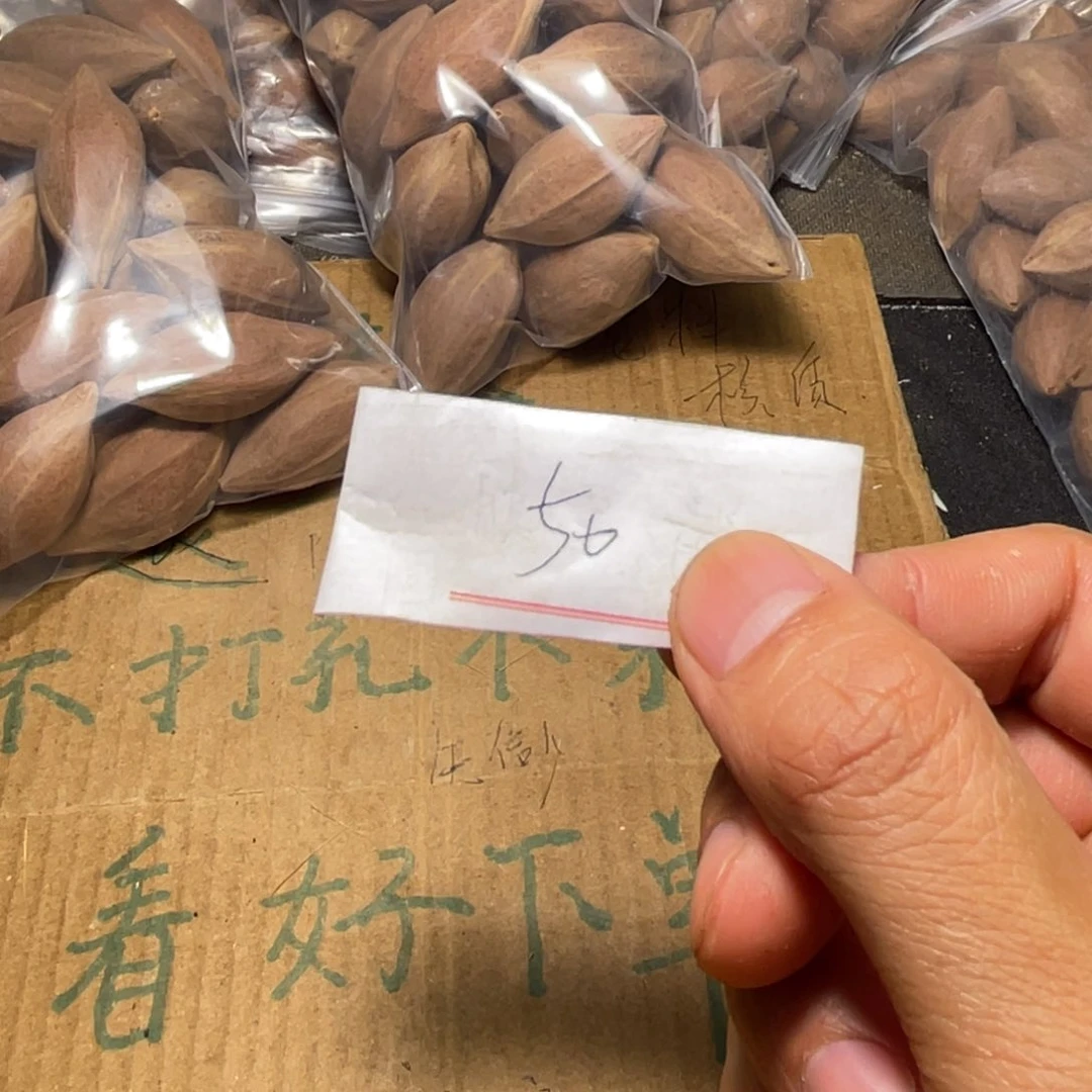 橄榄核吊坠不退不换