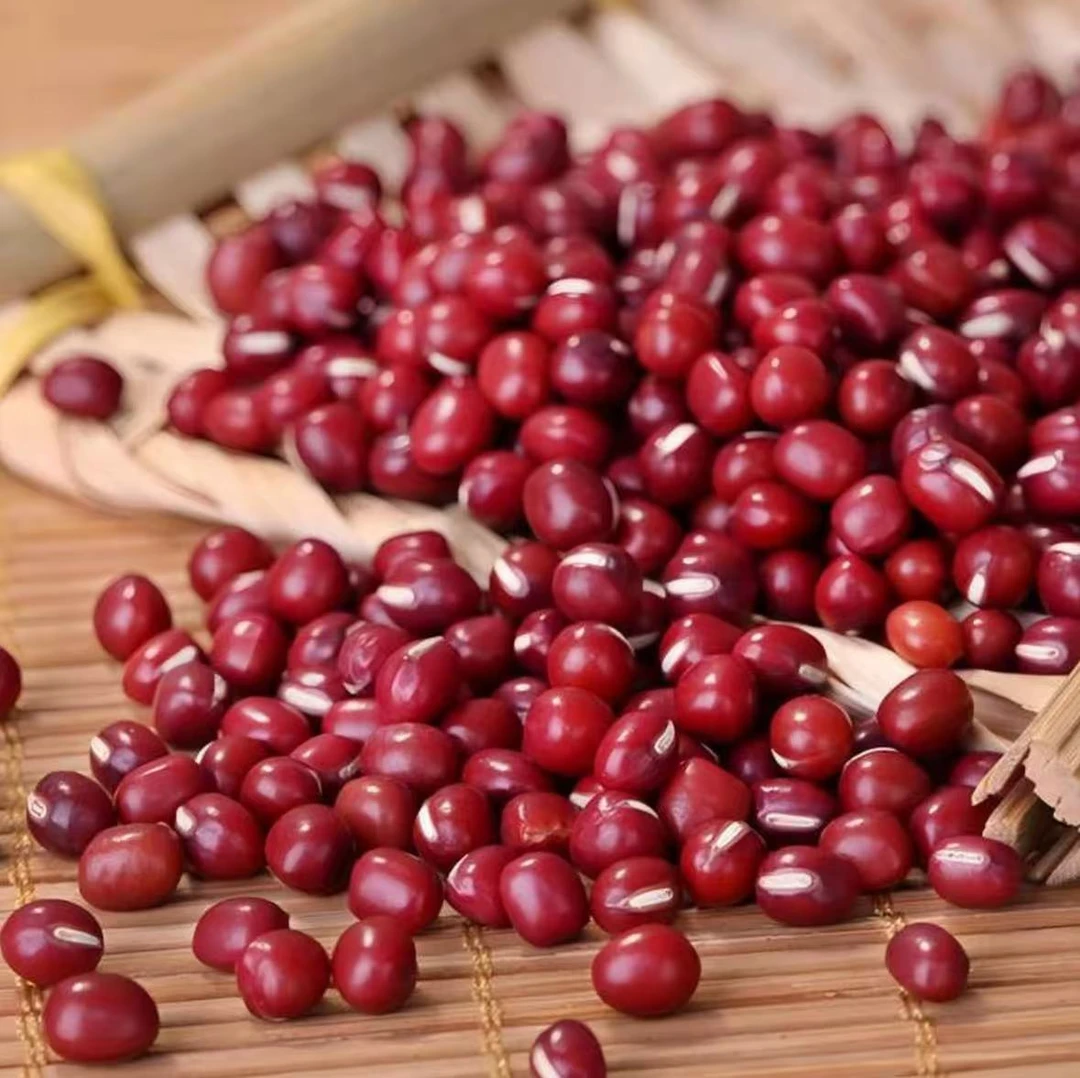 新货 红豆 农家自种红豆出沙五谷杂粮煲粥L