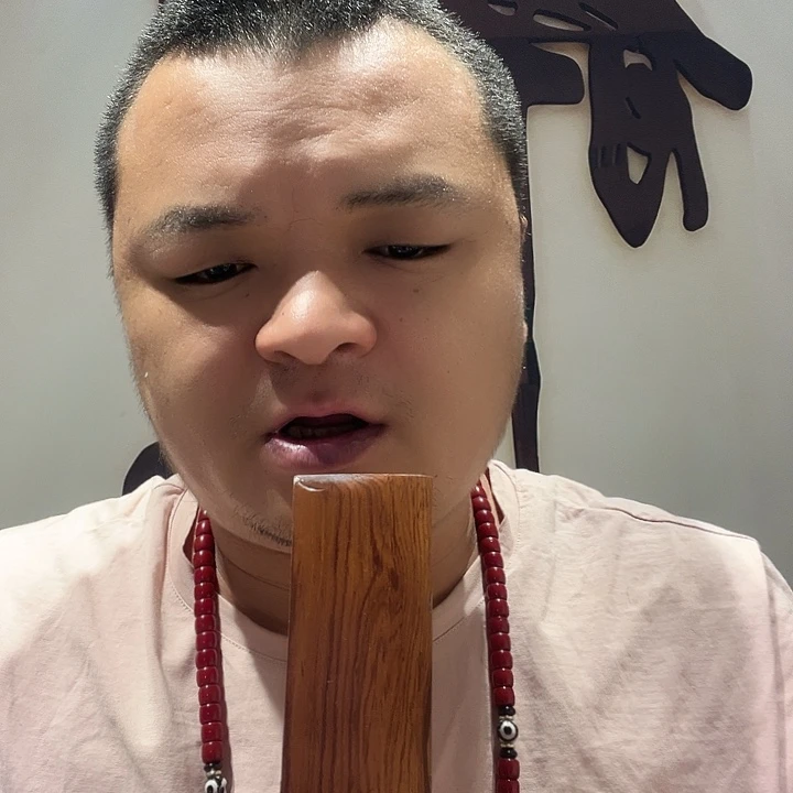 木H022大果紫檀（缅甸花梨）