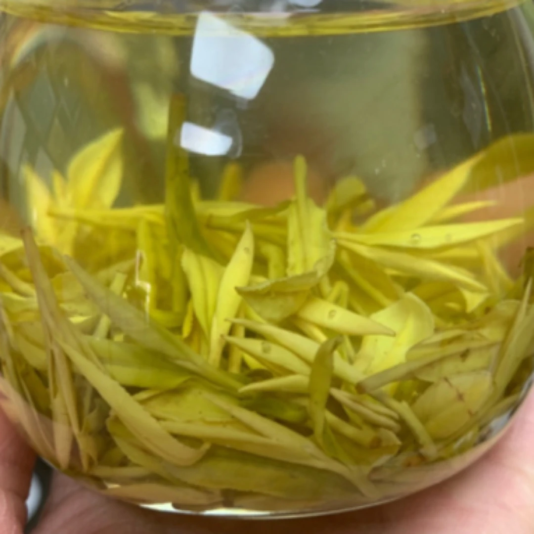 【370#】早春黄金芽 芽头匀整 兰花香浓郁 耐冲泡