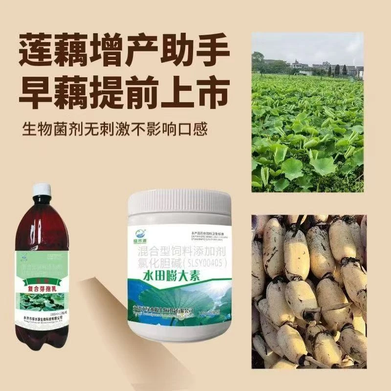 莲藕种植专用增产水溶复合芽孢乳水田膨大素增产防裂美白