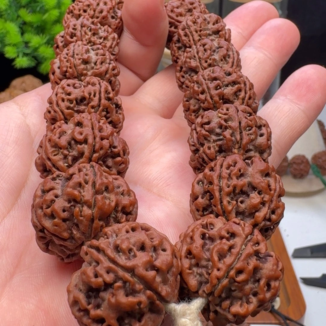 手串金刚菩提粗筋双龙