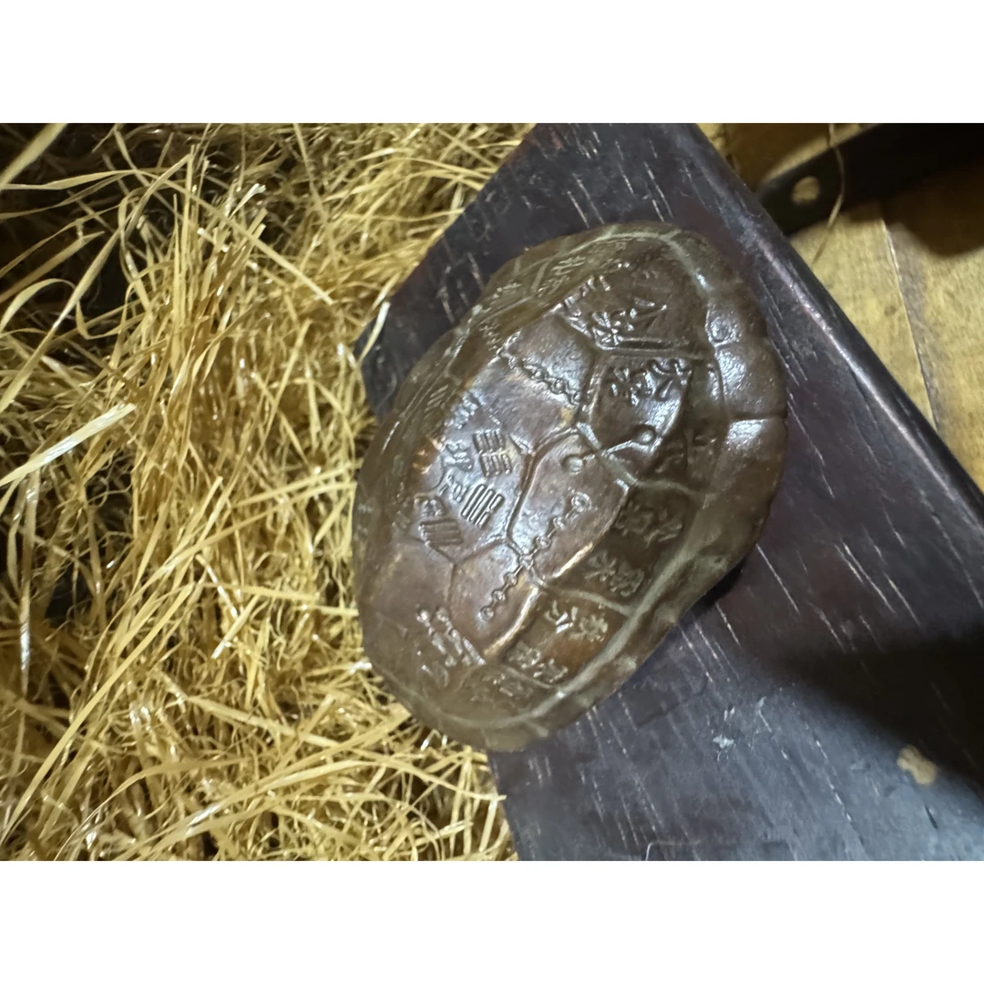 龟壳摆件（盛宁甄选）
