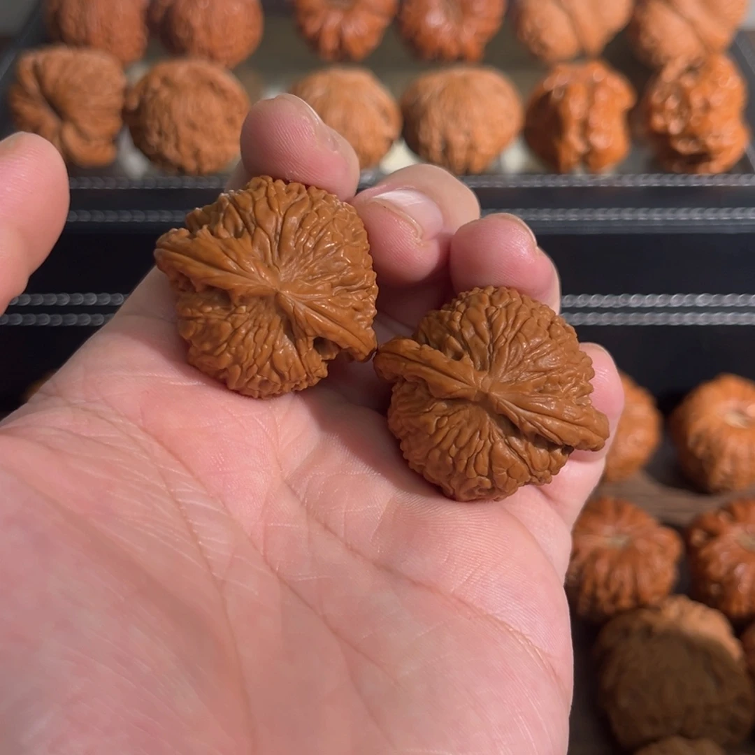 核桃手串/手链36全品球白
