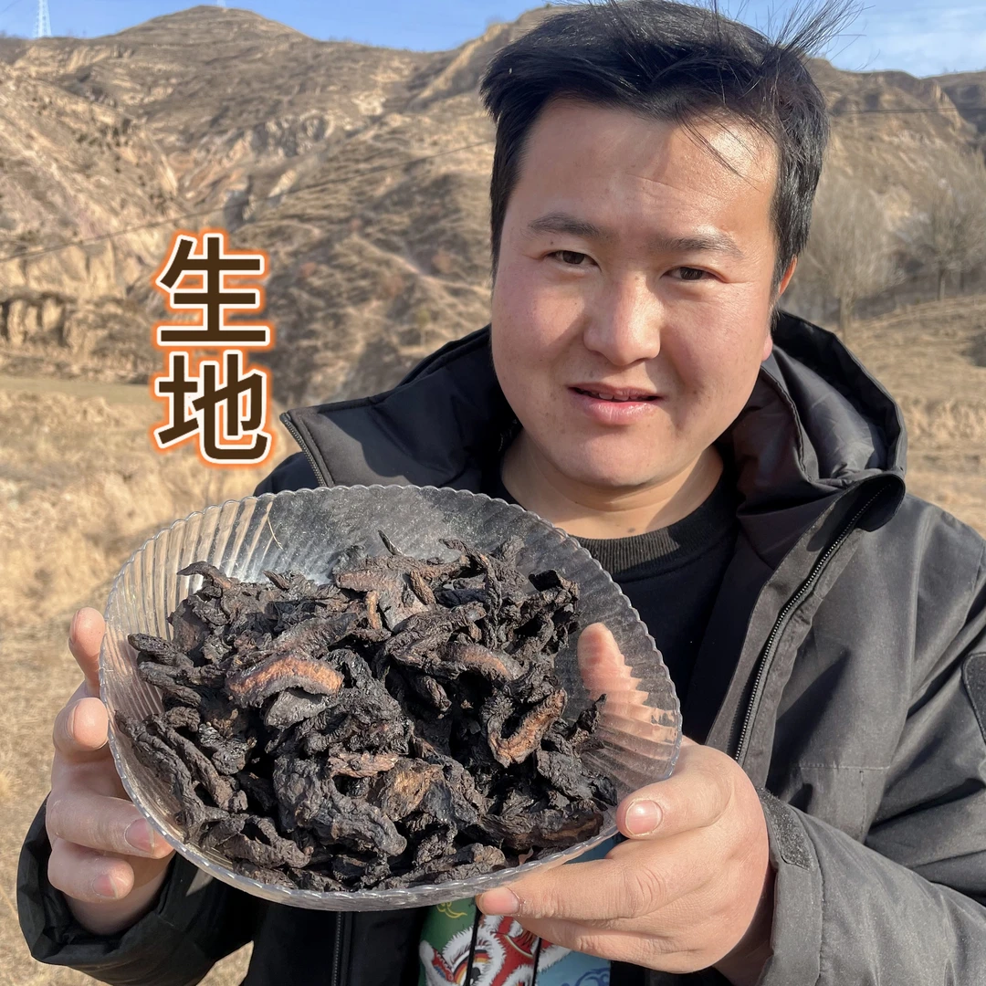 怀地黄 生地黄 河南生地黄 怀地黄片 黄娘子根 种植地黄