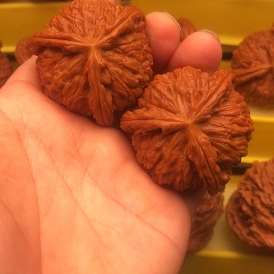 核桃核桃核桃核桃