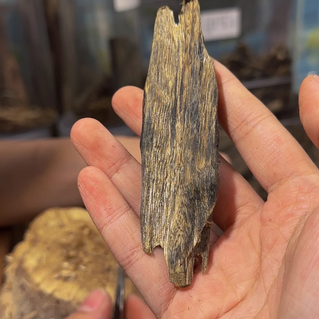 沉香碎屑沉香12.9克90