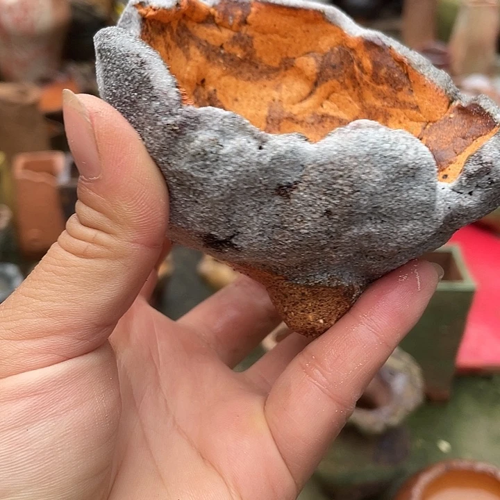 节日特价花盆处理两单包邮