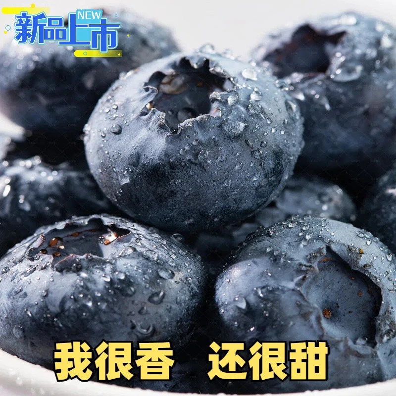 云南正宗新鲜采摘蓝莓鲜果产地直销基地现摘现发高山脆甜花香蓝莓