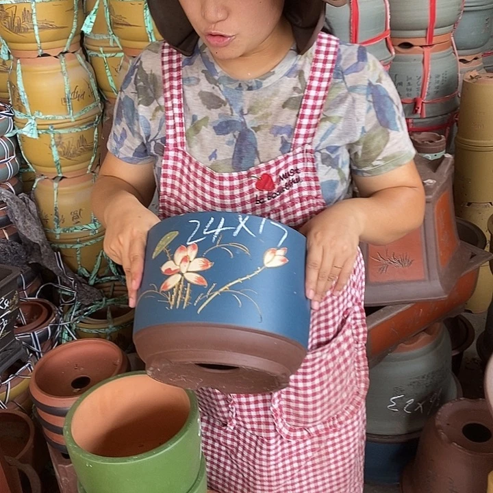 紫砂花盆盆栽植物花卉苗木种植