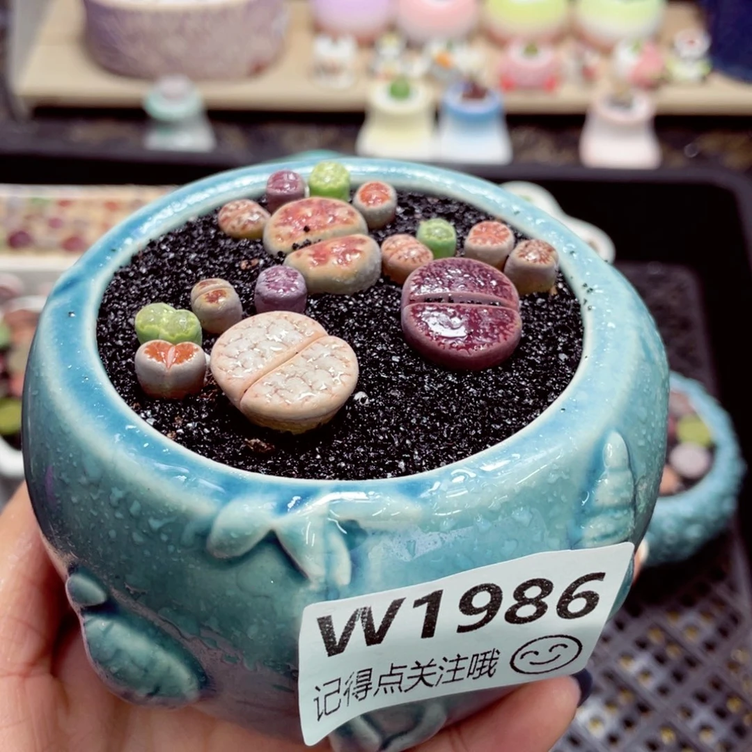 零下地区拍温箱w1986