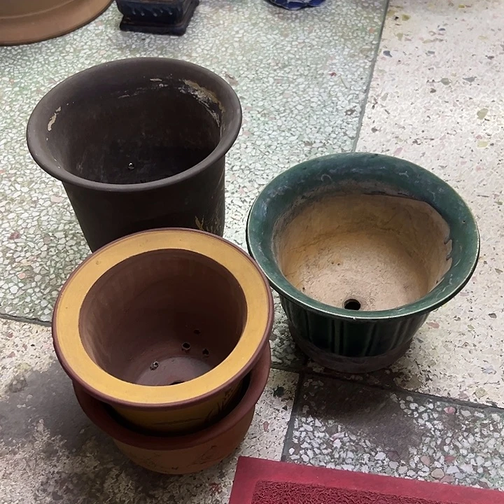 雷***雷1111111111111111111