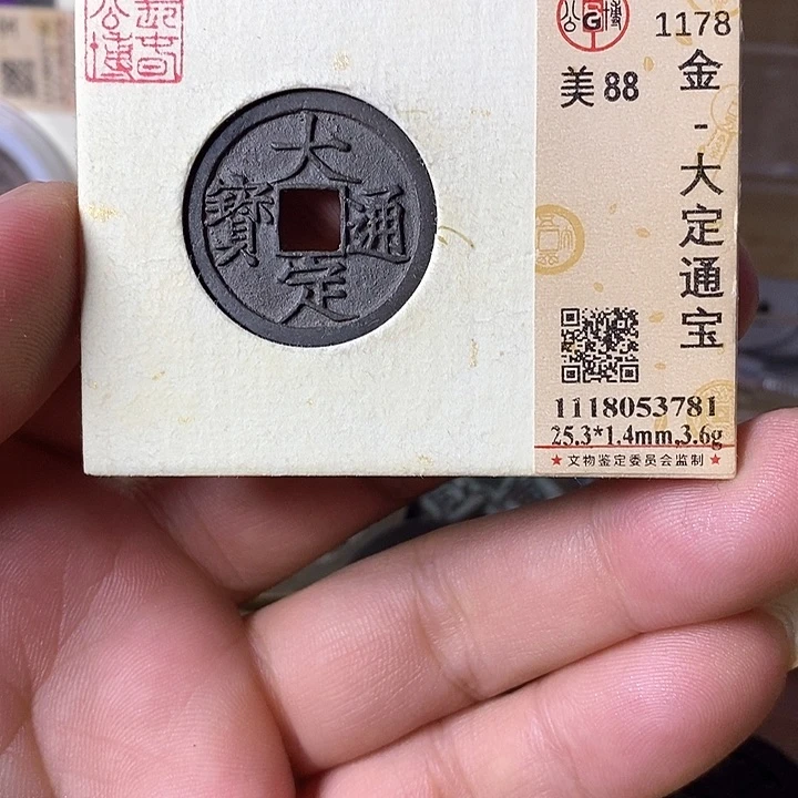 铜大定通宝元定泉藏