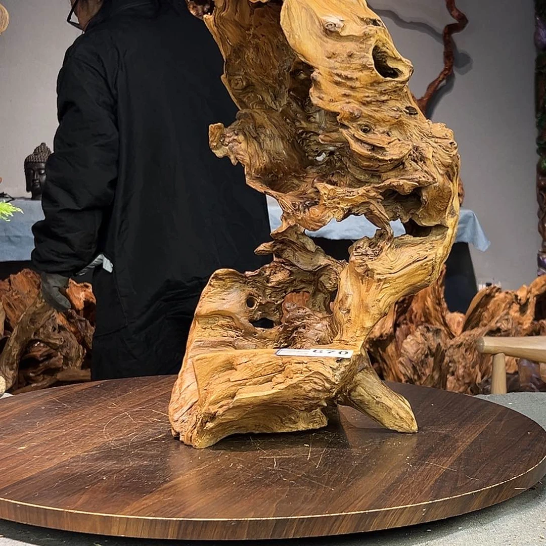 香杉木往**风670))(()77899999