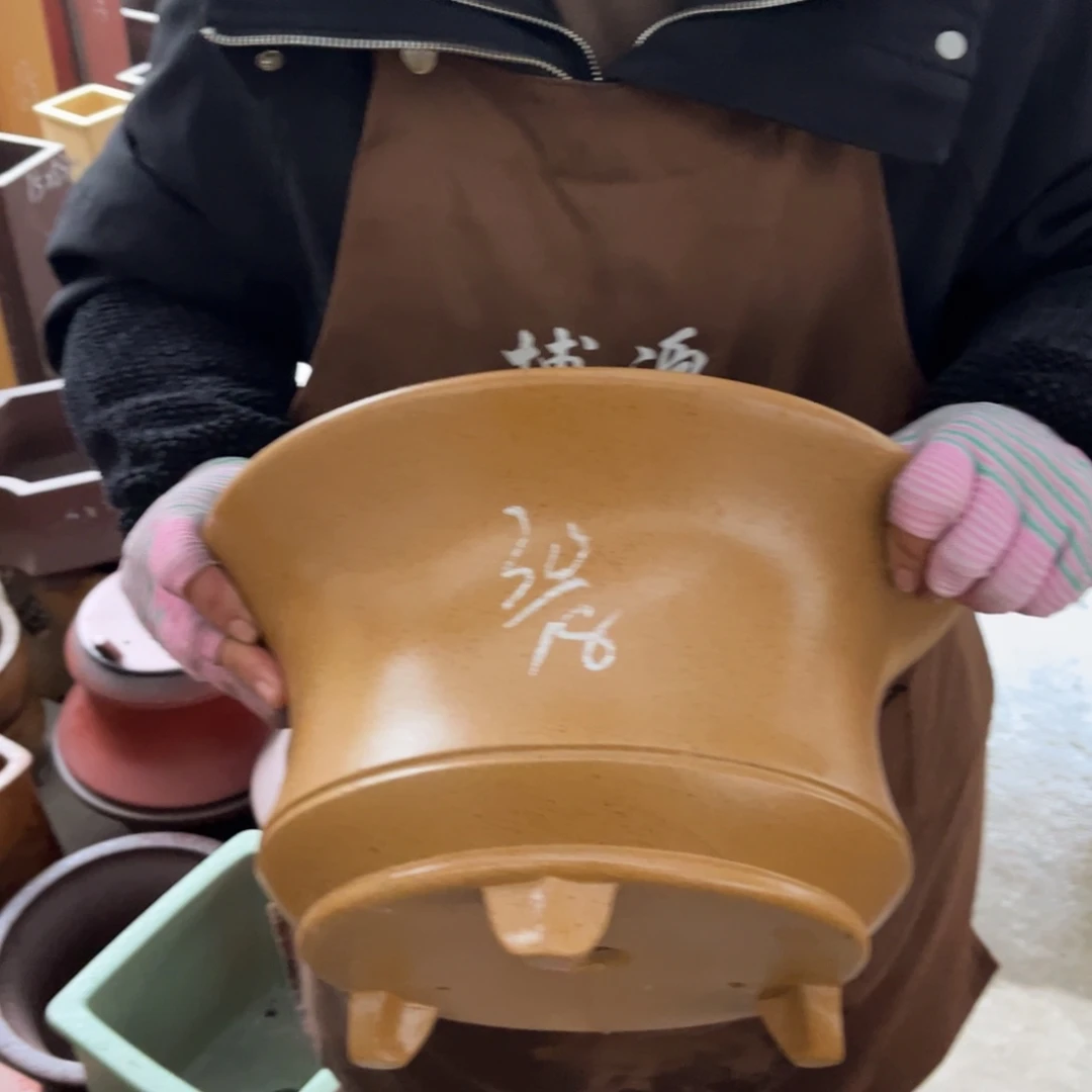 花盆紫砂盆景艺术