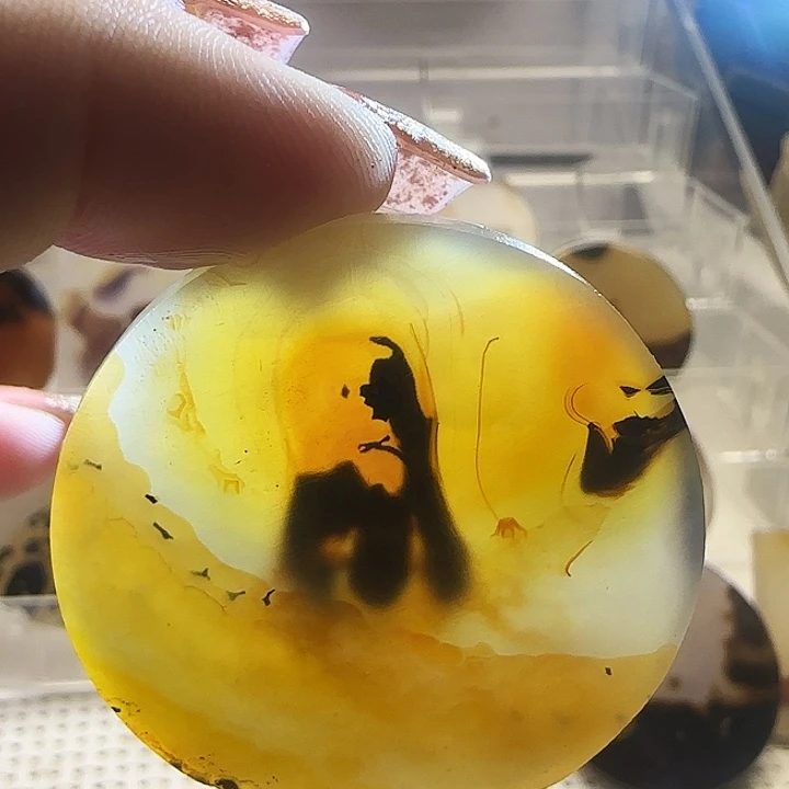 玛瑙/玉髓未镶嵌珠宝奇石