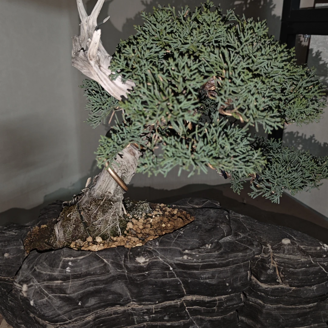 灵璧石精品花盆微盆景花盆