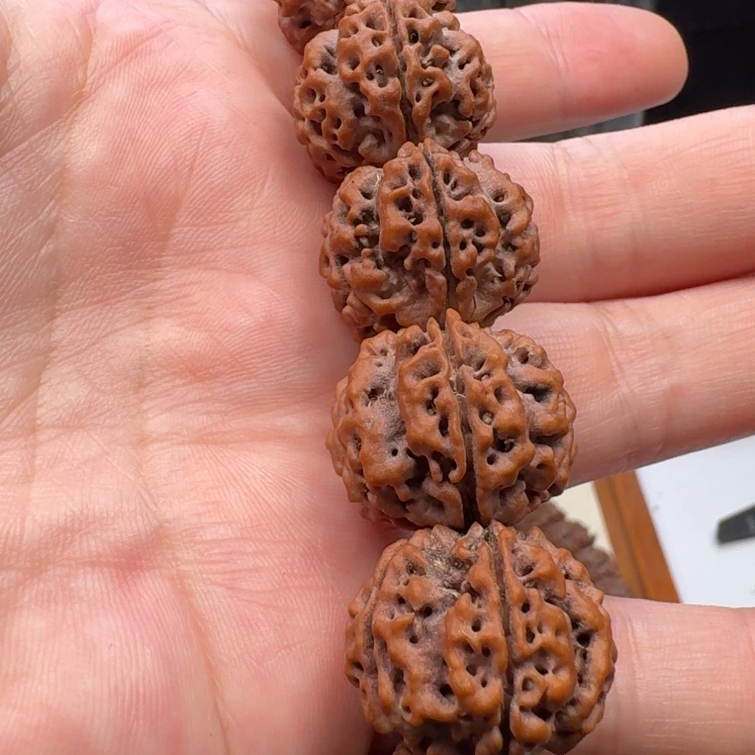 手串金刚菩提粗筋蜂窝双龙