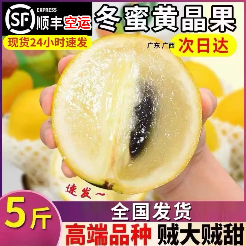 【顺丰空运5斤】冬蜜牛奶黄晶果当季新鲜稀少热带高端水果一整箱