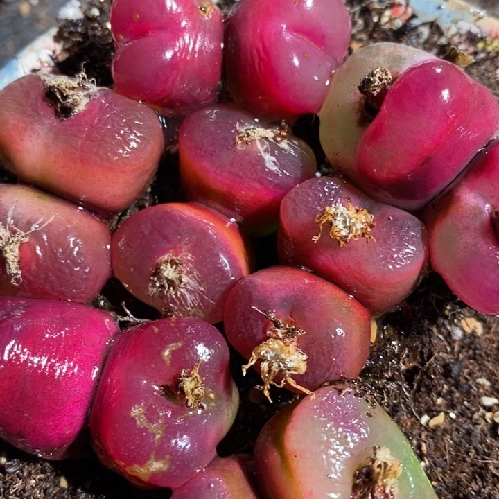 2141一组一组一组