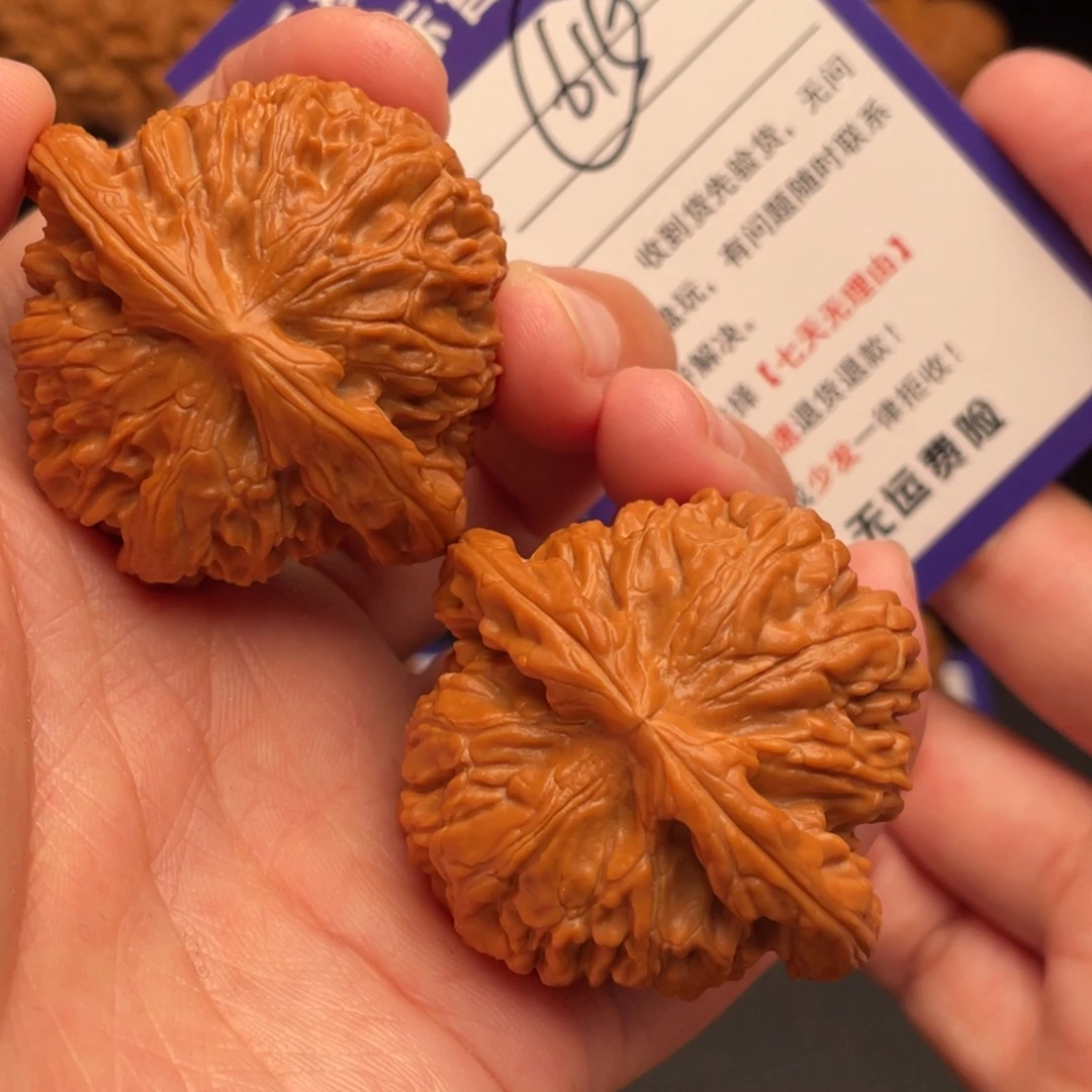 文玩核桃把件白狮子44