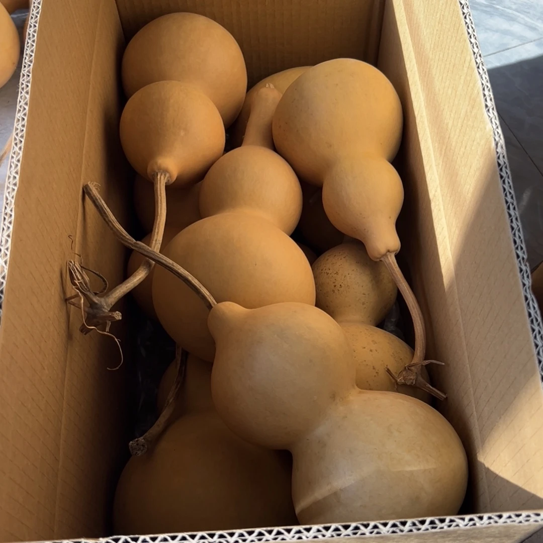 伟***承有机玻璃葫芦葫芦