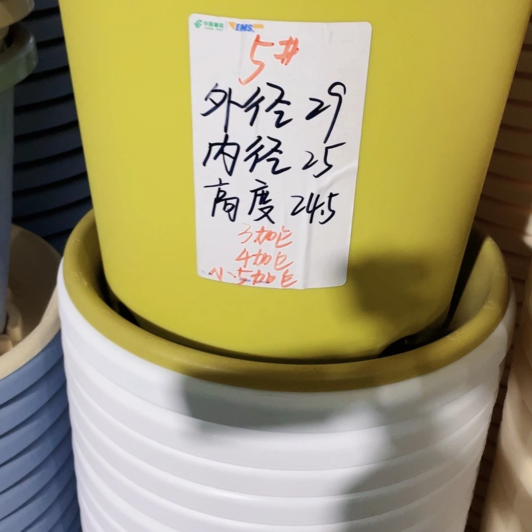 四季微瑕5号纯白无拖10个