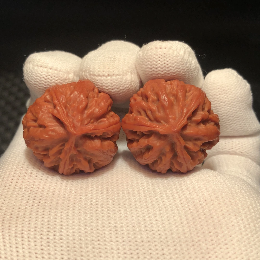 野生粗筋三棱 珊瑚纹 水晶皮 手捻 秋子 保真文玩核桃8号