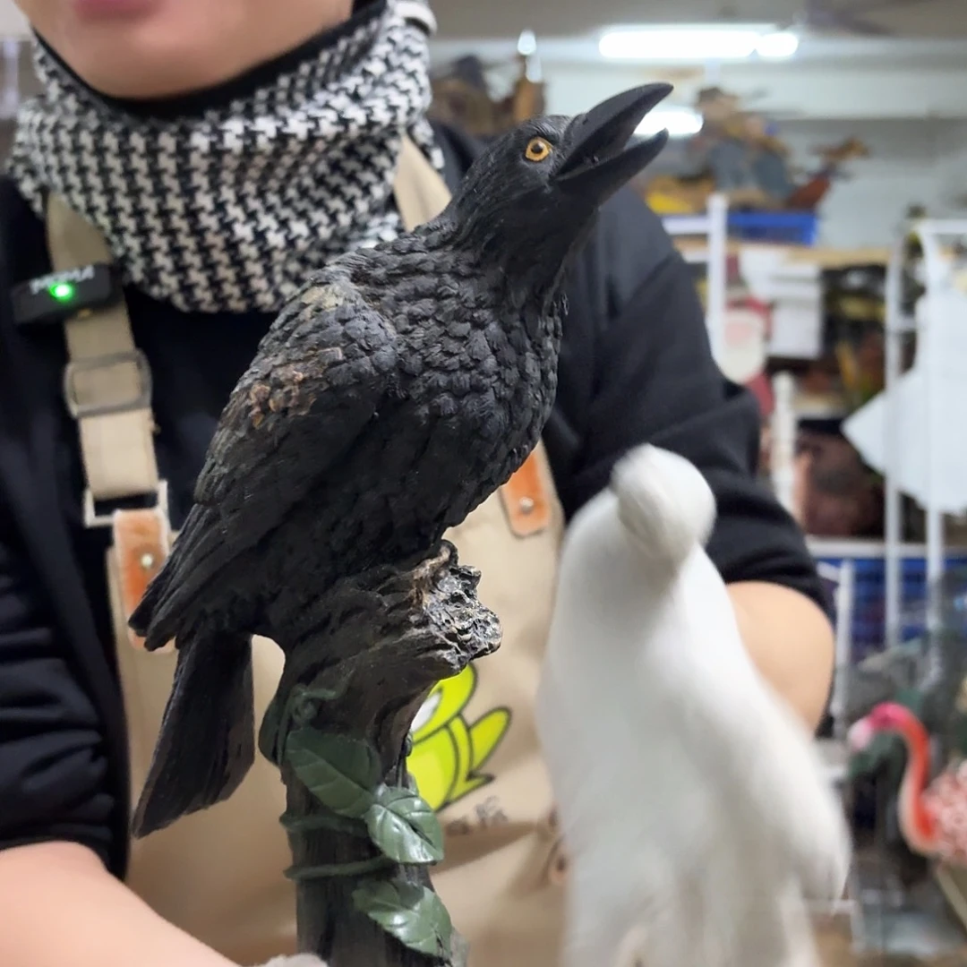 核桃木/黑胡桃（胡桃木）