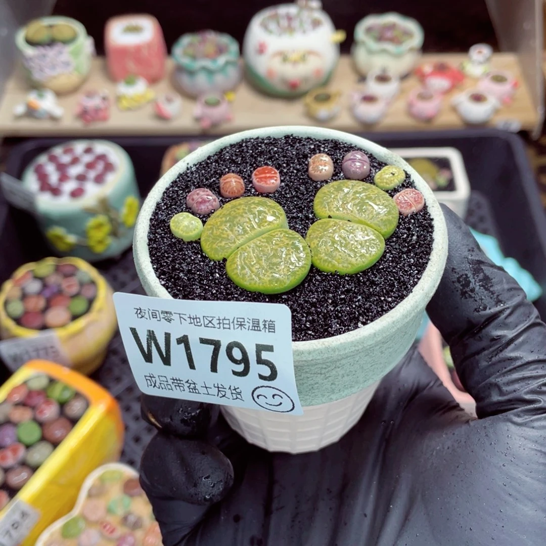 夜间零下地区拍保温箱w1795