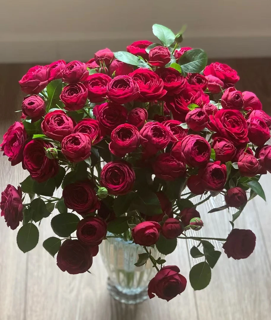 【如熙臻品】红蕾丝  - 多头玫瑰（收到带包装醒花哦！）