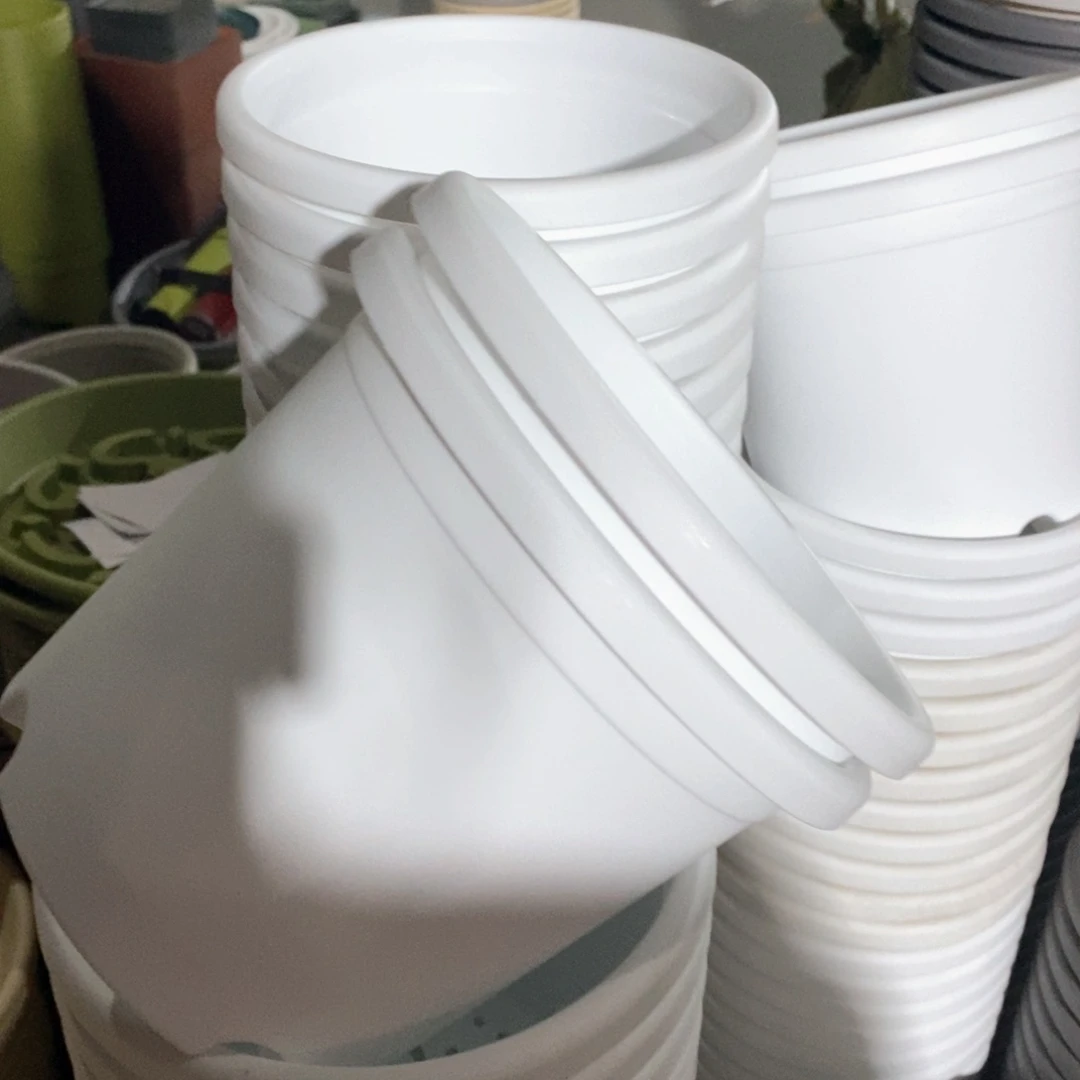 树脂四季2#无拖纯白6